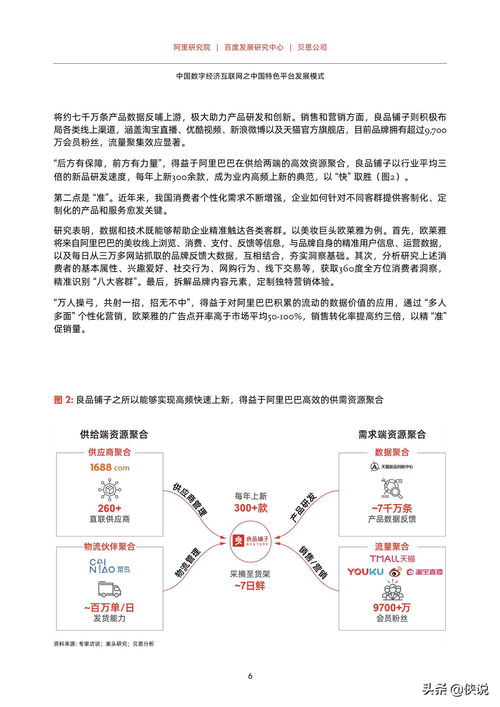 中国数字经济互联网之中国特色平台发展模式 贝恩X
